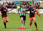 130406 SCG IJsselmeervogels (13)